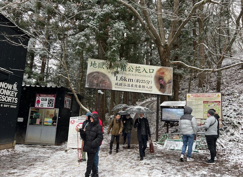 Picture 5 for Activity Tokyo/Nagano: Snow Monkey & Zenkoji Temple Private Day Trip