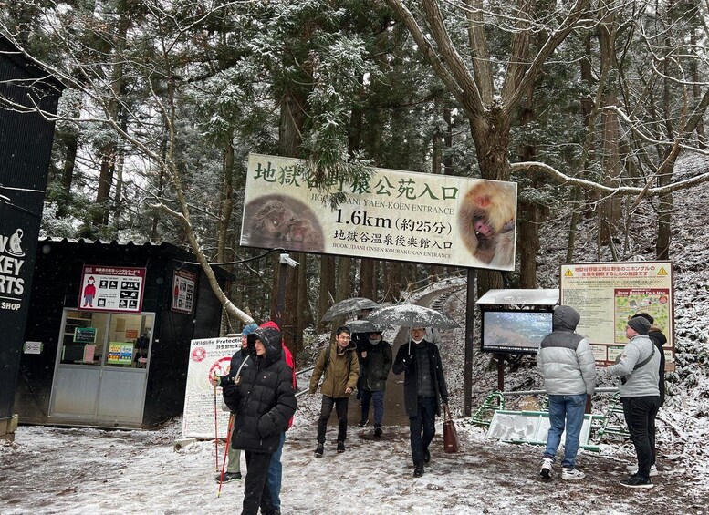 Picture 5 for Activity Tokyo/Nagano: Snow Monkey & Zenkoji Temple Private Day Trip