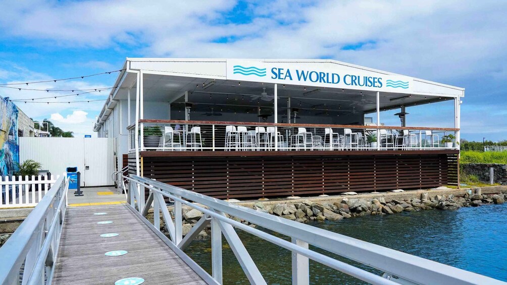 Picture 6 for Activity Gold Coast: Premium Whale Watching Cruise with Naturalist