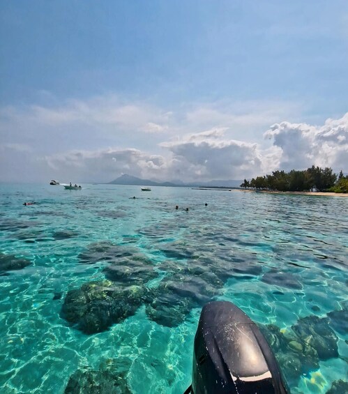 Picture 3 for Activity Dive into the Ultimate Dolphin Experience in Mauritius