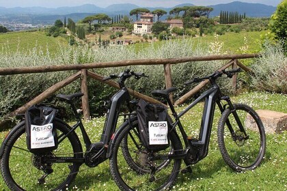 E-BIKE TOUR, the walls and the Renaissance villas