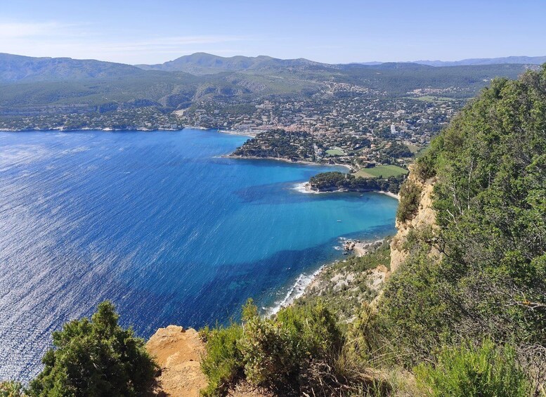 Picture 3 for Activity Bandol and Cassis: Full Day Wine Tour from Marseille