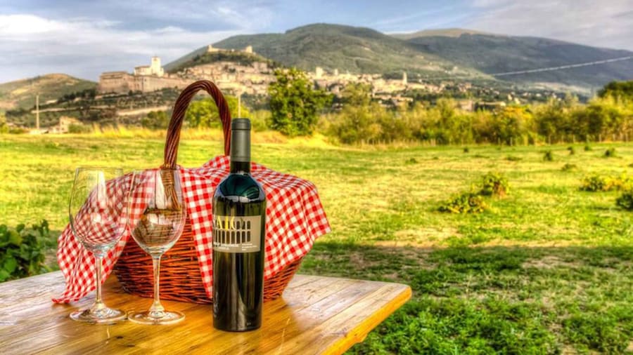 Pic nic Deluxe Assisi and wine tasting 5 wines