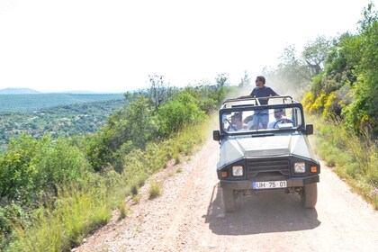 Full-Day Jeep Safari Algarve Moments