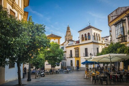 Cordoba City Tour on Your Phone: The Glory of Al-Andalus
