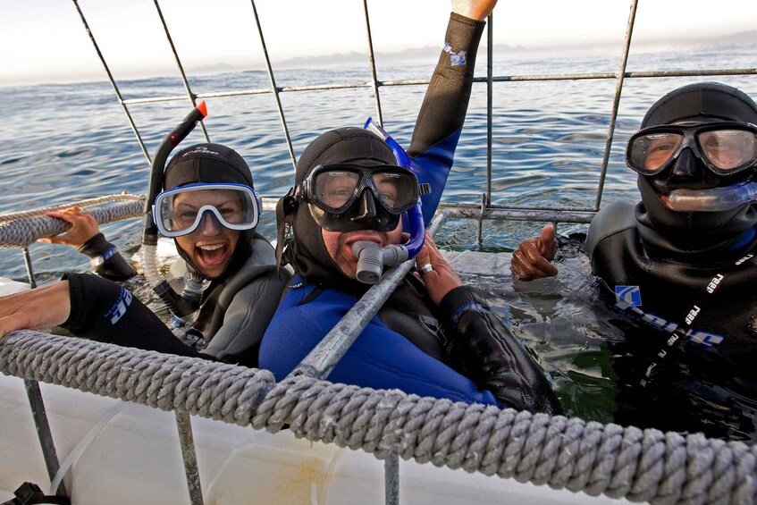 Picture 6 for Activity Cape Town: Shark Cage Dive