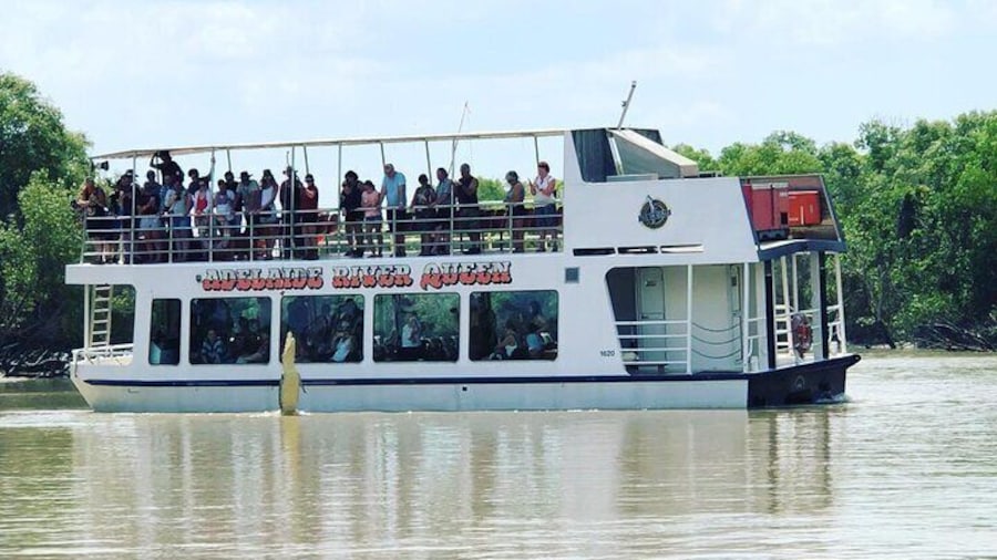 1 Hour Adelaide River Queen Jumping Crocodile Cruise
