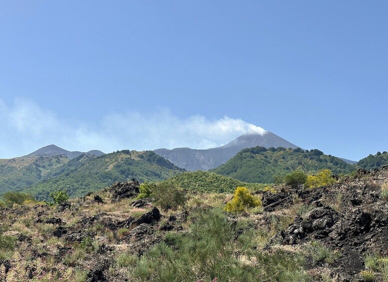 Mt. Etna: Half day morning or sunset tour in 4x4