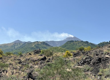 Etna Tour - HalfDay Small Group & licensed Tour Guide