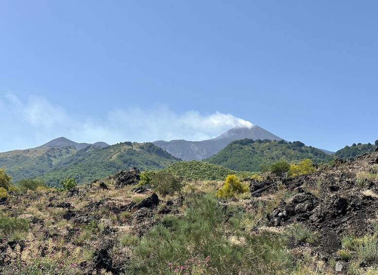 Mt. Etna: Half day morning or sunset tour in 4x4