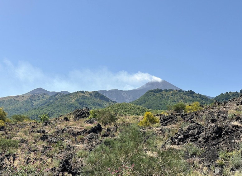 Mt. Etna: Half day morning or sunset tour in 4x4