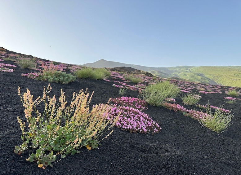 Picture 8 for Activity Mt. Etna: Half day morning or sunset tour in 4x4