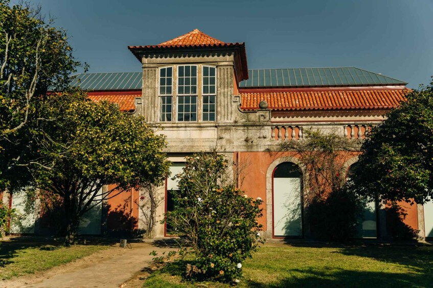 Picture 2 for Activity Porto: National Museum Soares dos Reis E-Ticket & City Tour