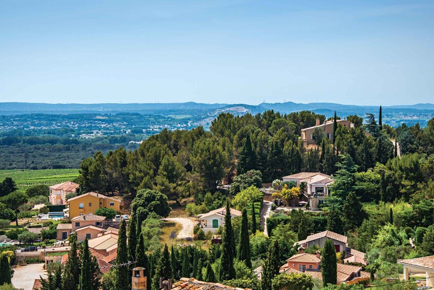 Picture 4 for Activity From Avignon: Half-Day Great Vineyards Tour