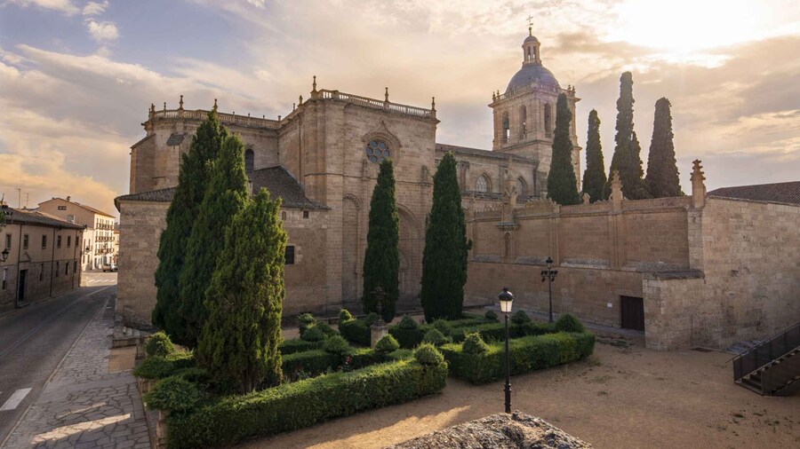 Ciudad Rodrigo: Cathedral of Santa Maria Entry Ticket