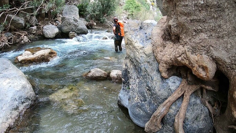 Picture 6 for Activity Rethymno: Canyoning Tour in the Kourtaliotiko Gorge