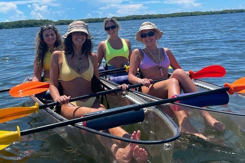 Manatee And Dolphin Tour