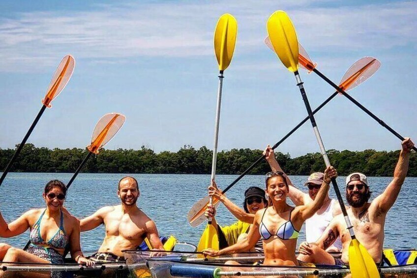 Manatee And Dolphin Tour