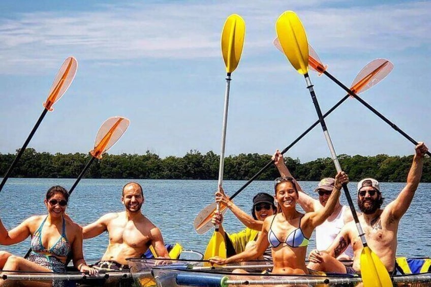 Manatee And Dolphin Tour