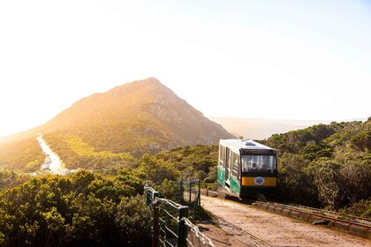 Kapstadt: Cape Point Funicular Ticket