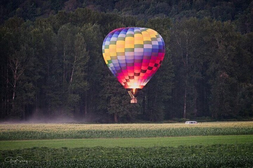 Coming in for landing