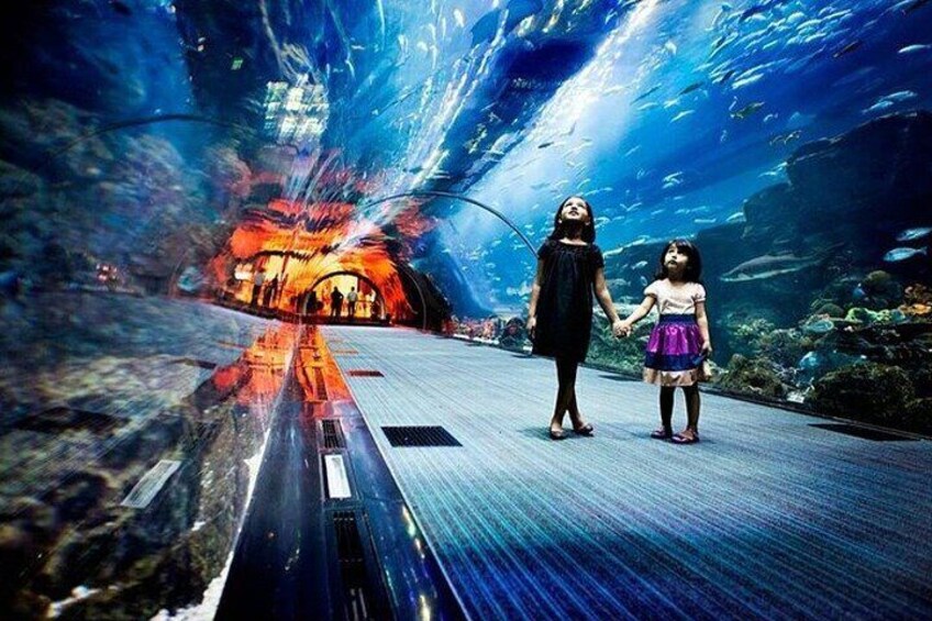 Dubai Aquarium and Underwater Zoo Admission Ticket