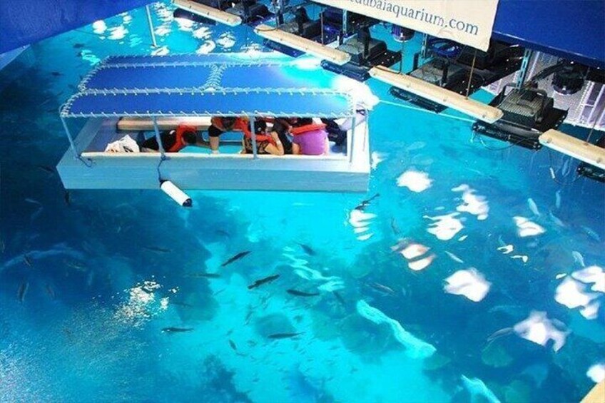 Dubai Aquarium and Underwater Zoo Admission Ticket