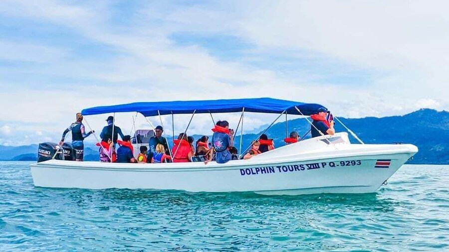 Picture 8 for Activity From Uvita: Day Trip to Corcovado National Park by Boat