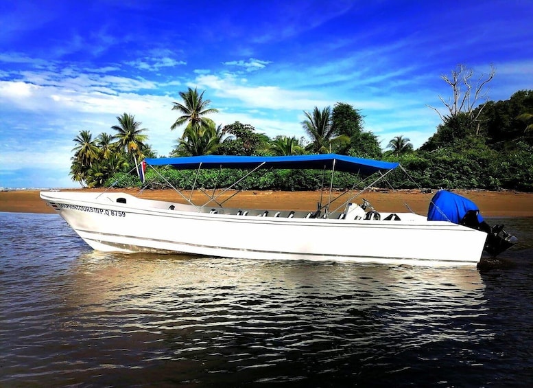 Picture 9 for Activity From Uvita: Day Trip to Corcovado National Park by Boat