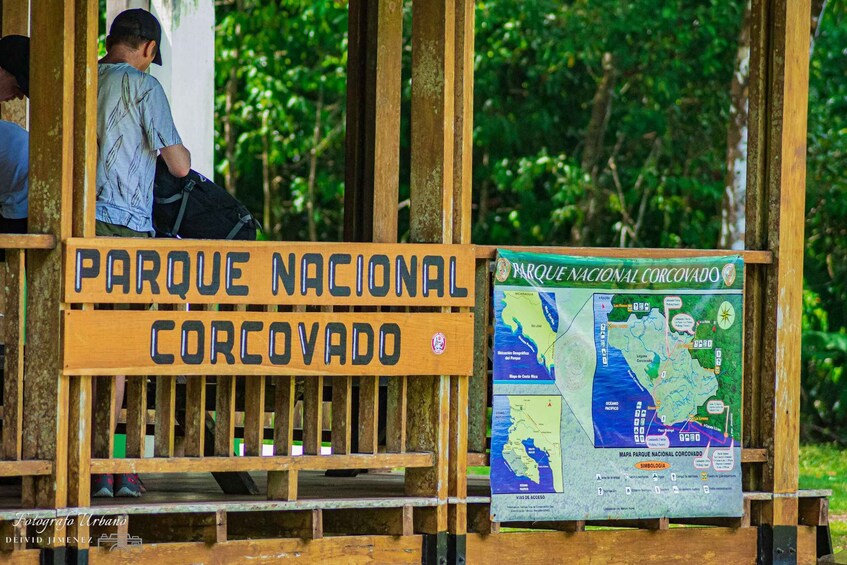 Picture 10 for Activity Corcovado Hiking Tours and Luch San Pedrillo Station