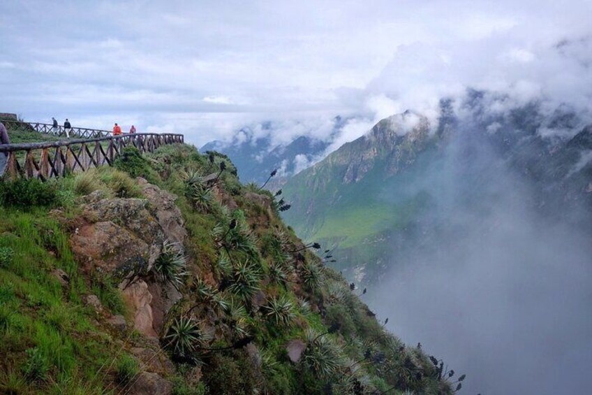 Colca Canyon Plus 2 days