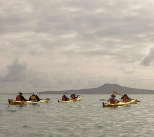 Auckland: Waiheke Island Sea Kayak Tour