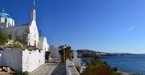 Paros & Antiparos Islands French tour including lunch