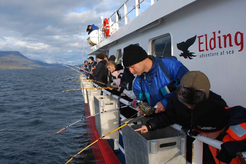 Picture 4 for Activity Reykjavik: 3-Hour Sea Angling Gourmet Experience Tour