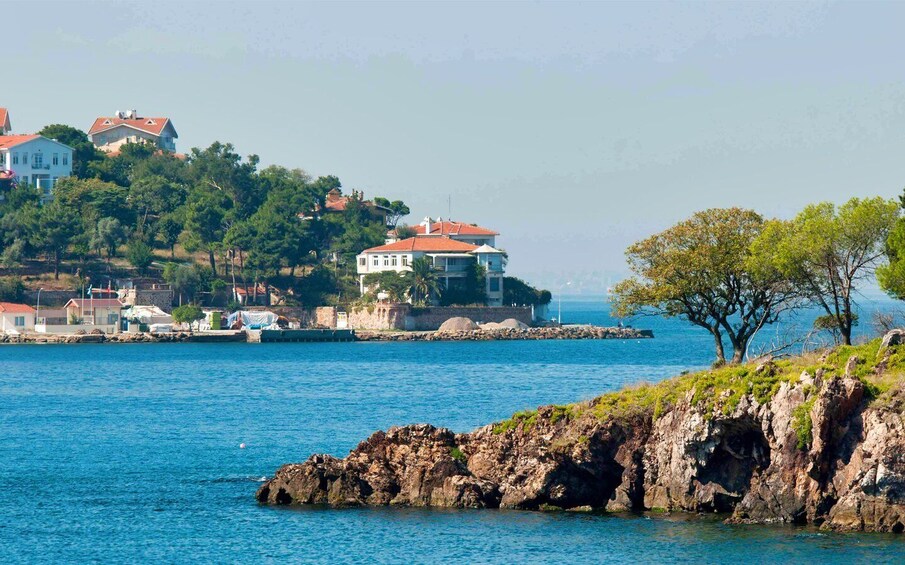 Picture 5 for Activity From Istanbul: Full-Day Princes Island Tour with Lunch