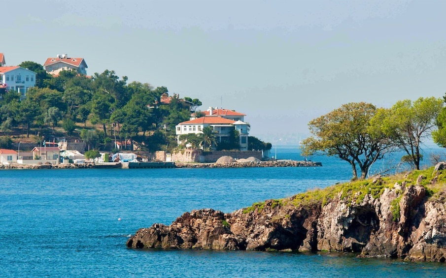 Picture 5 for Activity From Istanbul: Full-Day Princes Island Tour with Lunch