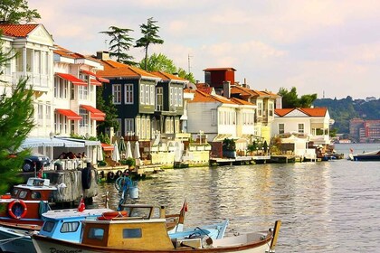 Depuis Istanbul : Journée entière sur l'île des Princes excursion avec déje...