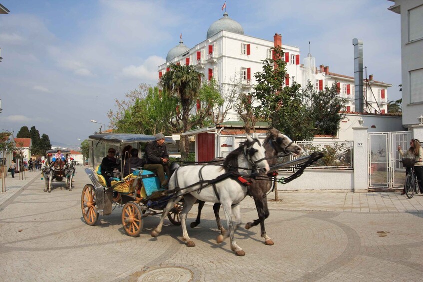 Picture 7 for Activity From Istanbul: Full-Day Princes Island Tour with Lunch