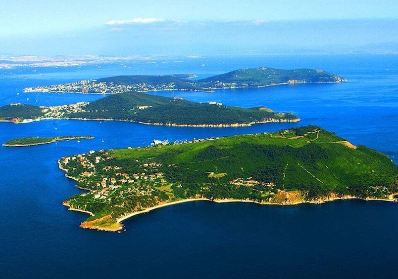 Picture 4 for Activity From Istanbul: Full-Day Princes Island Tour with Lunch