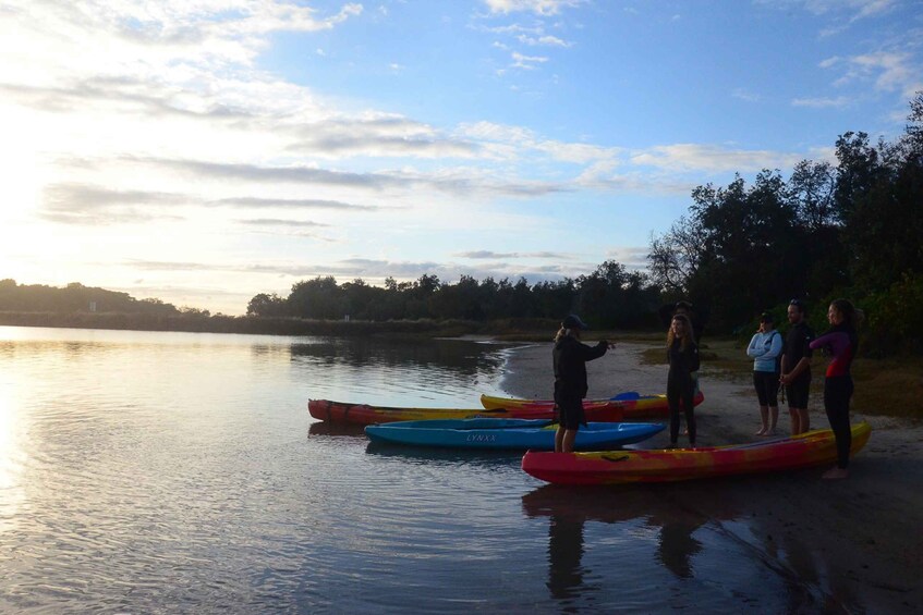 Picture 2 for Activity Brunswick Heads: Brunswick River Sunset Kayak Tour