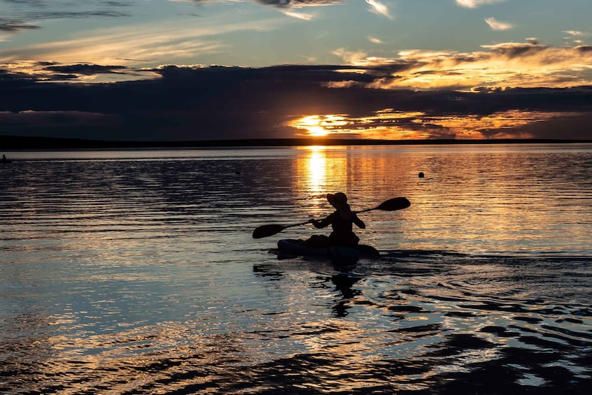 Picture 1 for Activity Brunswick Heads: Brunswick River Sunset Kayak Tour