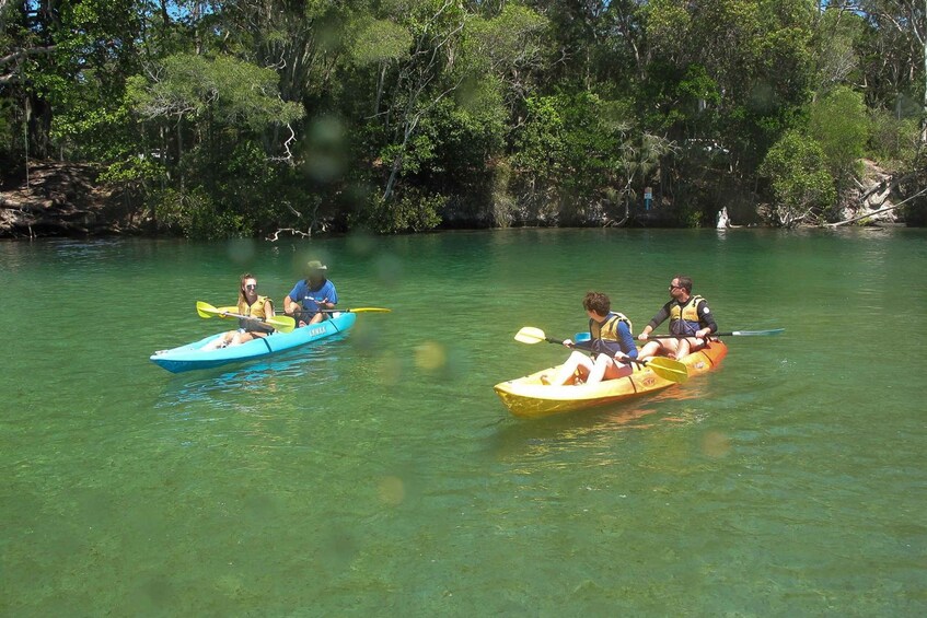 Picture 5 for Activity Brunswick Heads: Brunswick River Sunset Kayak Tour