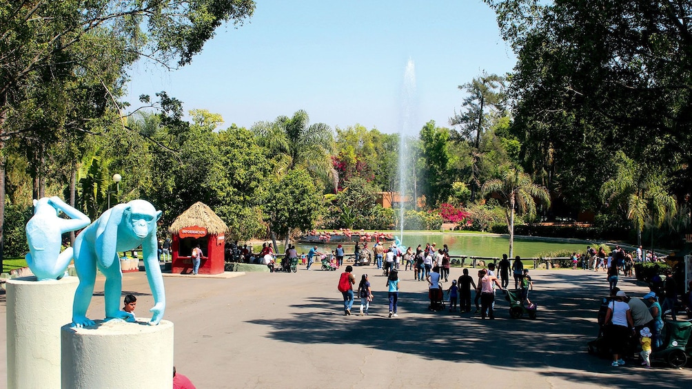 Cargar foto 1 de 8. Overview of zoo in Guadalajara