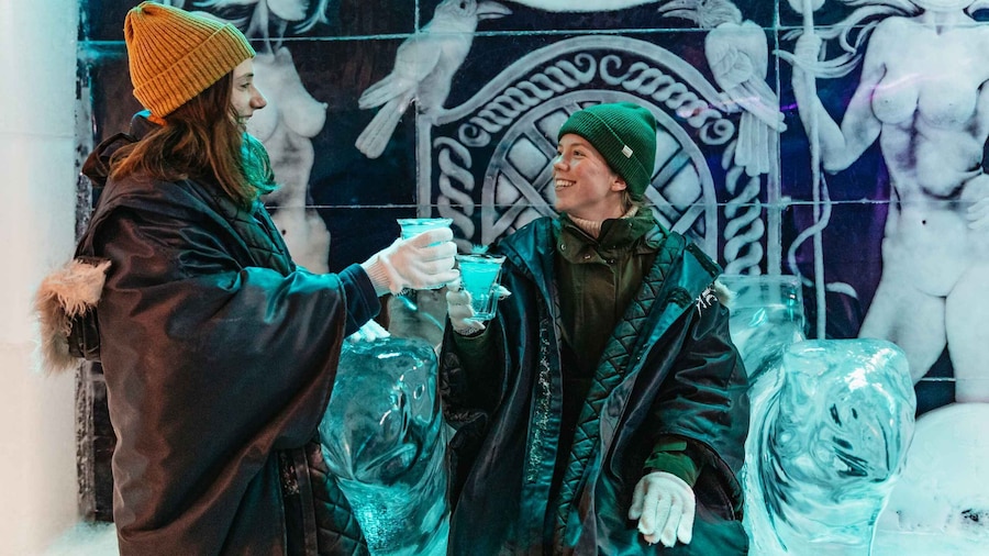 Reykjavik: Magic Ice Bar Entrance and Welcome Drink