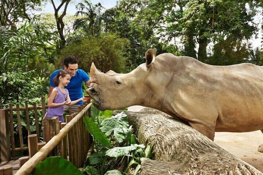 Singapore Zoo