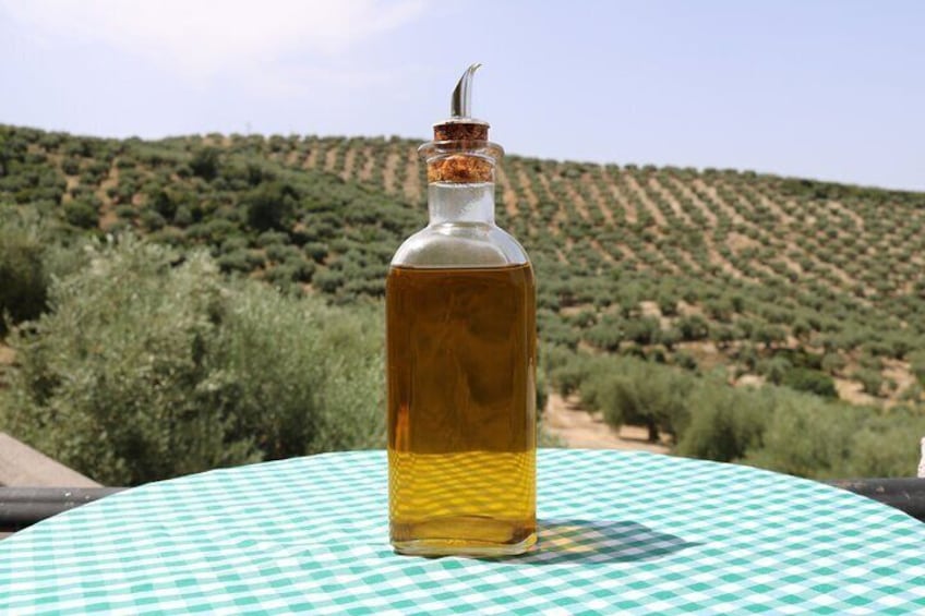 Olive Oil Factory from Seville Private Tour