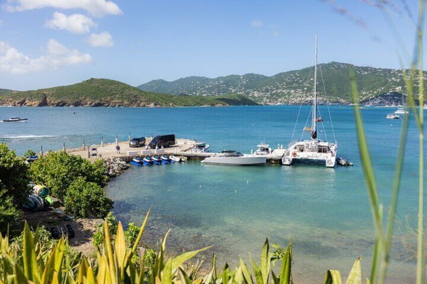 Maho Bay Turtle Snorkel with Lunch and Bar at Frenchman's Reef