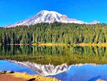 Kleingruppe Mount Rainier National Park 1-Tagestour ab Seattle