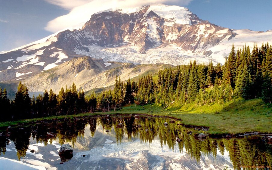 Small Group Mount Rainier National Park 1-Day Tour from Seattle 2-Can-Go
