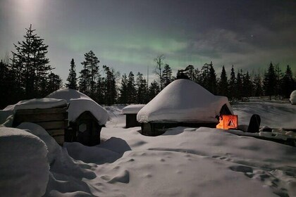 Lapland In A Day - Reindeer, Sledding, Snowmobile & Nature